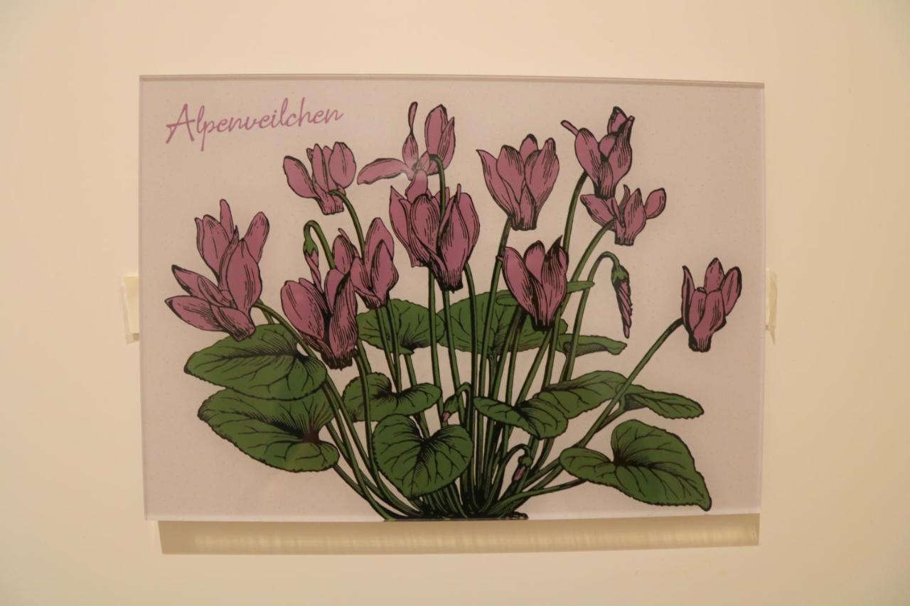 Apartment Im Stern Inklusive Koenigscard